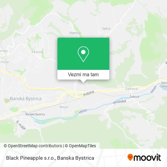 Black Pineapple s.r.o. mapa